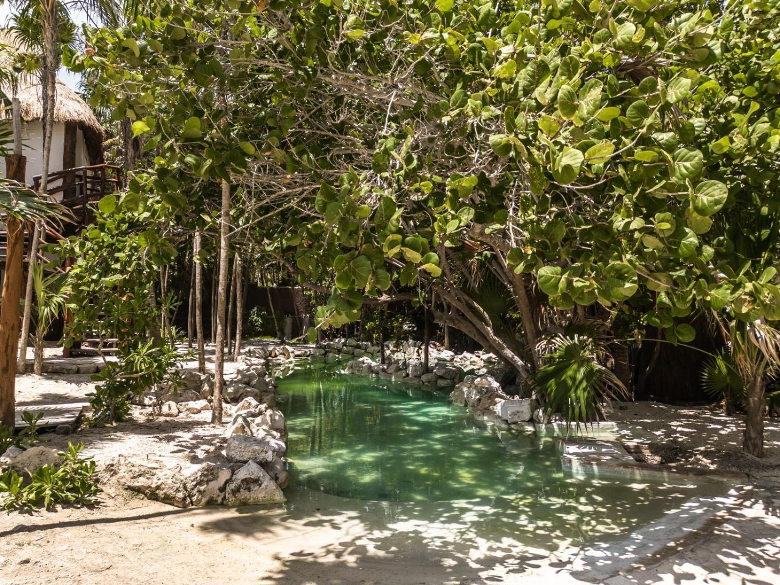 Niken Beachfront Tulum Hotel Exteriör bild