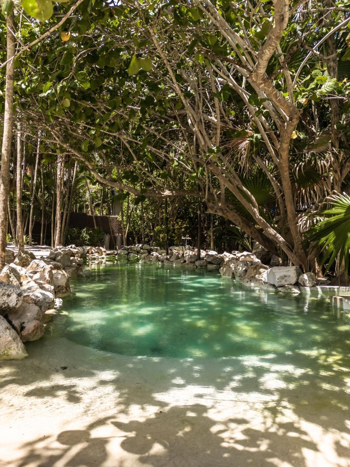 Niken Beachfront Tulum Hotel Exteriör bild