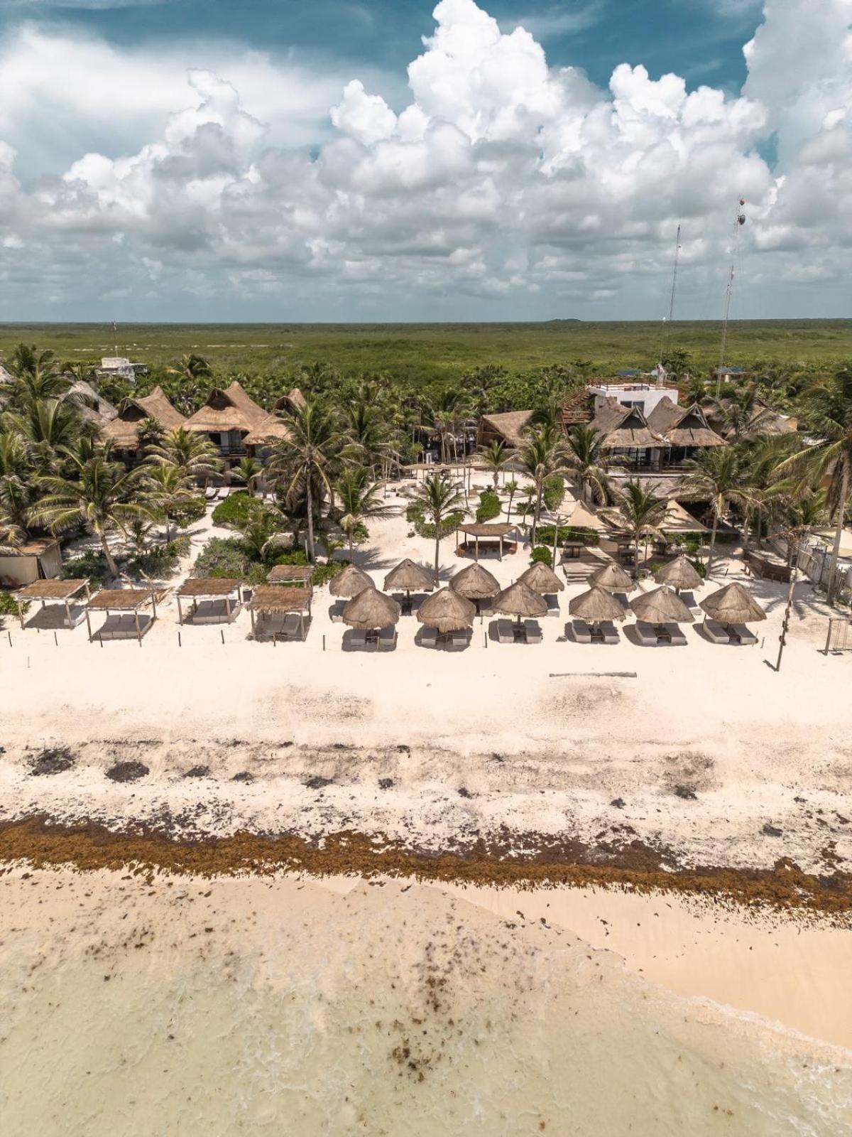 Niken Beachfront Tulum Hotel Exteriör bild
